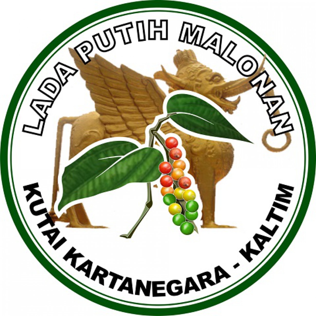 Disbun Ajukan Hak Paten Lada Malonan